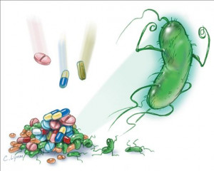 Antibiotic Resistance - creating superbugs by immunizing them against ...