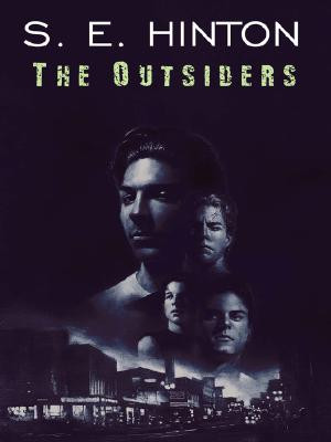 the outsiders chapter 11-12 summaries
