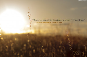 Prophet Muhammad Quotes