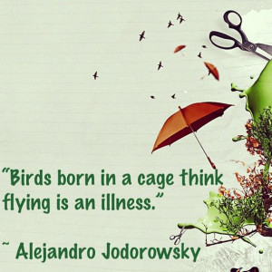 Alejandro Jodorowsky Quote Birds
