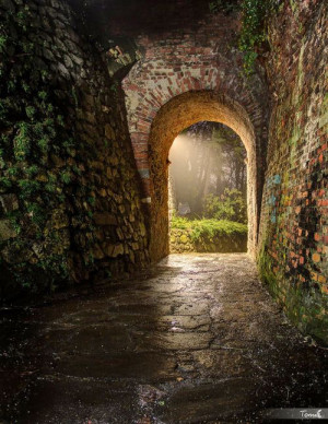 Portal, The Enchanted Wood photo via tiki