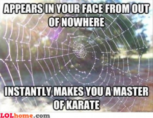 Ninja spider web