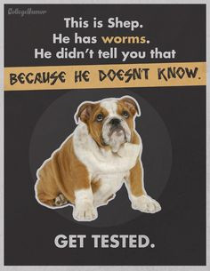 Veterinary Humor. Too damn funny. More