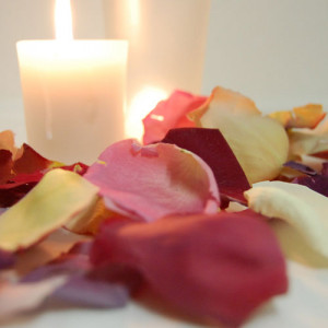 with Rose Petals - Ideas and Inspiration from The Real Flower Petal ...