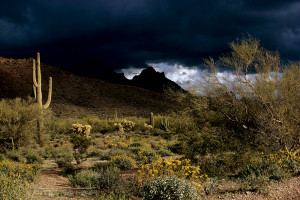 Rain Storm in the Sonoran Desert 1973photo Walter Edwards