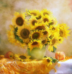 Sunflower Quotes Tumblr Sunflowers still life
