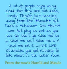 ... quote from the movie harold and maude more quotes worth wonder quotes