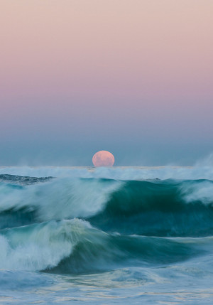 pretty summer hipster nature beach waves ocean sea vertical