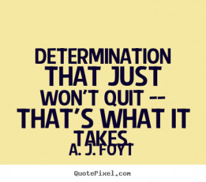 Quotes about success - Determination that just won't quit -- that's ...