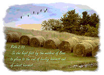 Harvest with Scripture by Kenneth Hoffman was voted the most popular ...