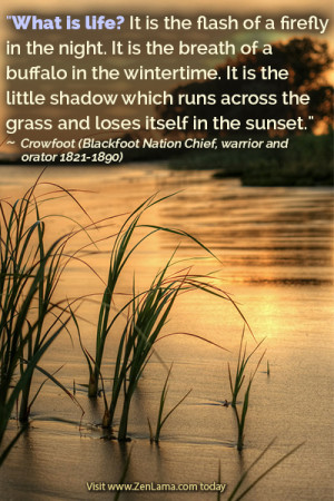 What is life? It is the flash of a firefly in the night.