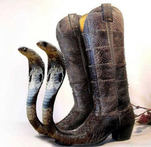 Cobra Head Snakeskin Boots: Snakes. Why Did It Have to Be Snakes?