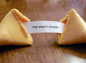 Funny fortune cookie!Gag Gift, Cat, Laugh, Unfortunate Cookies, Funny ...