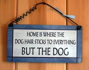 ... -141-home-is-where-the-dog-hair-sticks-to-everything-but-the-dog.jpg
