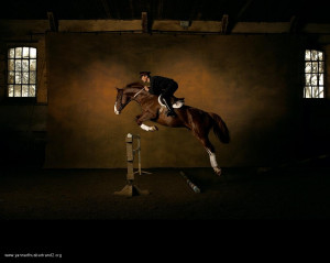 Horseback Riding Quotes Tumblr Photography pony horse horses