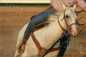 Cowboy Riding Horse The Desert