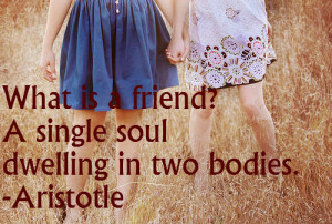 What is a friend? A single soul dwelling in two bodies.