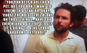 16 of the greatest ‘It’s Always Sunny in Philadelphia’ quotes