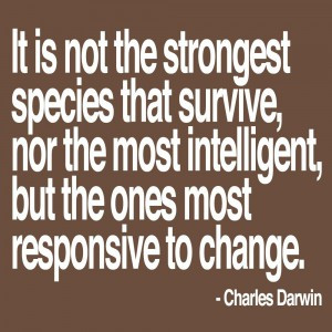 Darwin Motivational Business Quote Wall Decal 