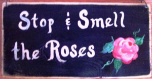 stop to smell the roses every morning,” he said.