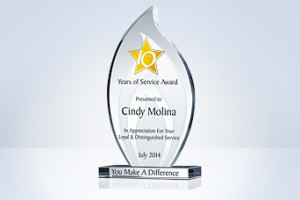 Employee Service Awards, 10/20/30 Years of Service Awards | DIY Awards