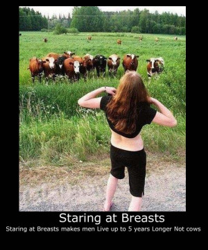 staring at breasts category funny pictures staring at breasts