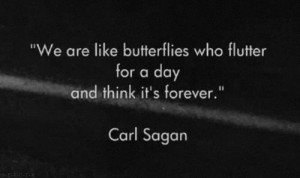 Carl Sagan Quotes are love.