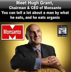 Monsanto quote banners