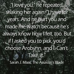 Quote from THE ASSASSIN'S BLADE: THE THRONE OF GLASS NOVELLAS by Sarah ...