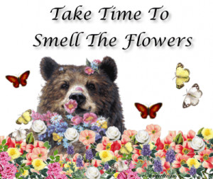 Take time to smell the flowers