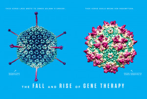 Courtesy of University of Pennsylvania Gene Therapy Program/NIH ...