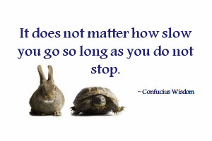 It does not matter how slow you go so long as you do not stop.