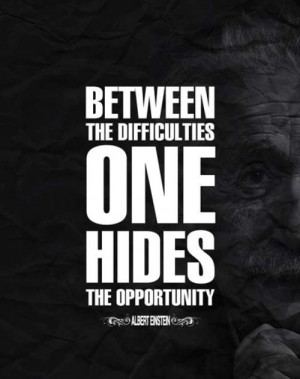 Albert Einstein Funny Quotes Anyone Who Has Never Made Mistake