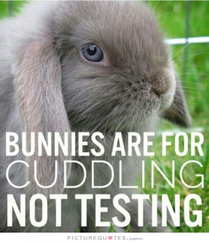 Animal Rights Quotes Rabbit Quotes