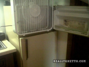 480 x 357 32 kb jpeg credited to funnychill com