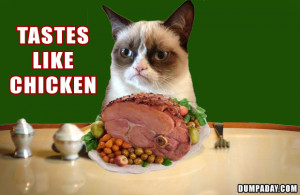 grumpy cat, christmas ham, tastes like chicken, angry cat, dumpaday