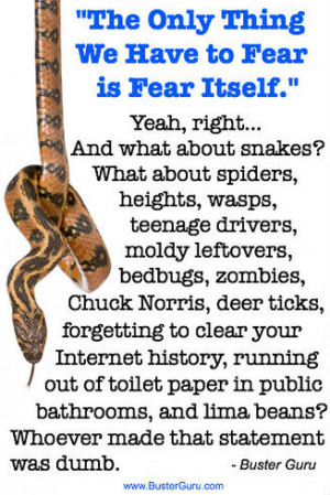 The only thing we have to fear is fear itself.