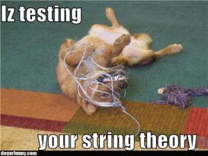 Iz testing your string theory / Dogs R Funny