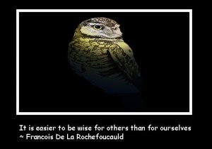 Mentoring Experience