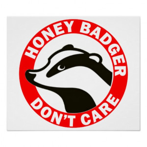 see more honey badger posters here honey badger posters