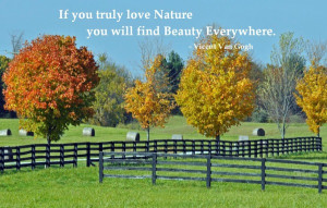 if-you-truly-love-nature-you-will-find-beauty-everywhere-nature-quote ...