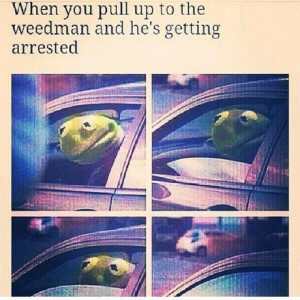 funny kermit the frog memes by lomaxx 7 00am on jul 06 2014