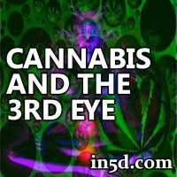 Cannabis & The Pineal Gland : Turn On The Third Eye