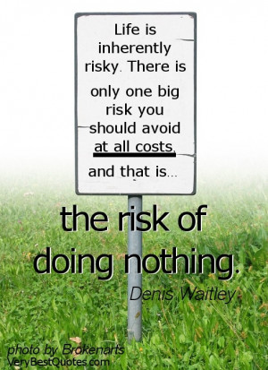 Doing Nothing Quotes - Life is risky Quotes
