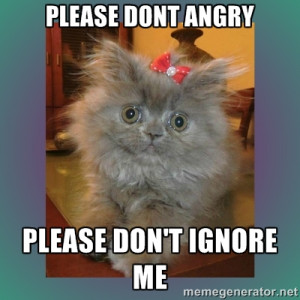 cute cat - Please dont angry Please don't ignore me