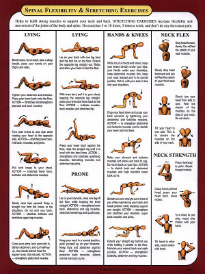 Spinal Flexibility & Strengthening Exercises