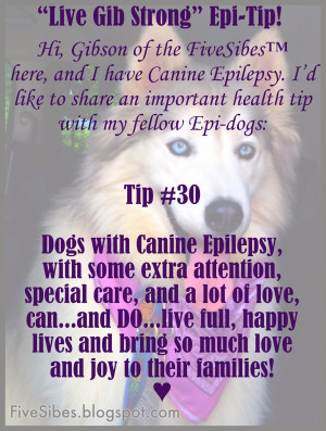 ... Tip of the Month as We Wrap Up National (K9) Epilepsy Awareness Month