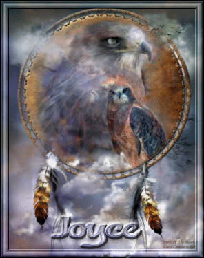 Native American Quotes About Hawks. QuotesGram
