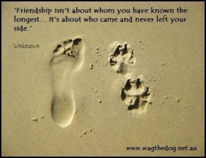 love my dog.: Footprints, True Friendship, Dogs Quotes, Best Friends ...