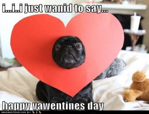 Valentine’s Day Pug